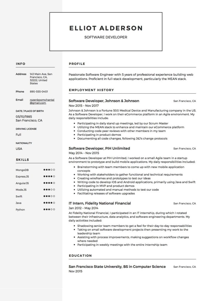 Modern Software Developer Resume(4)