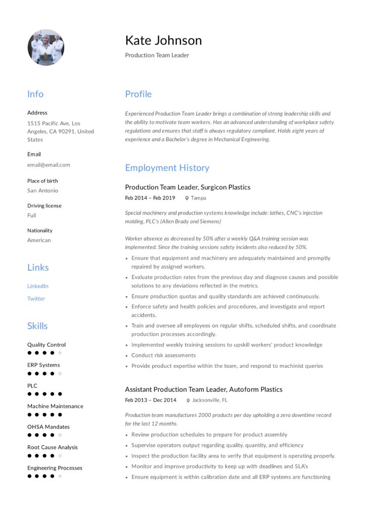 Production Team Leader Resume Example