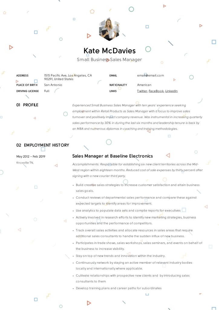 Small Business Sales Manager Resume Example