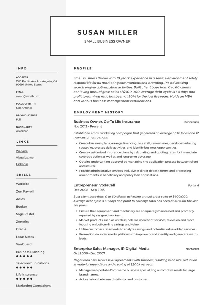 Small Business Owner Resume Example