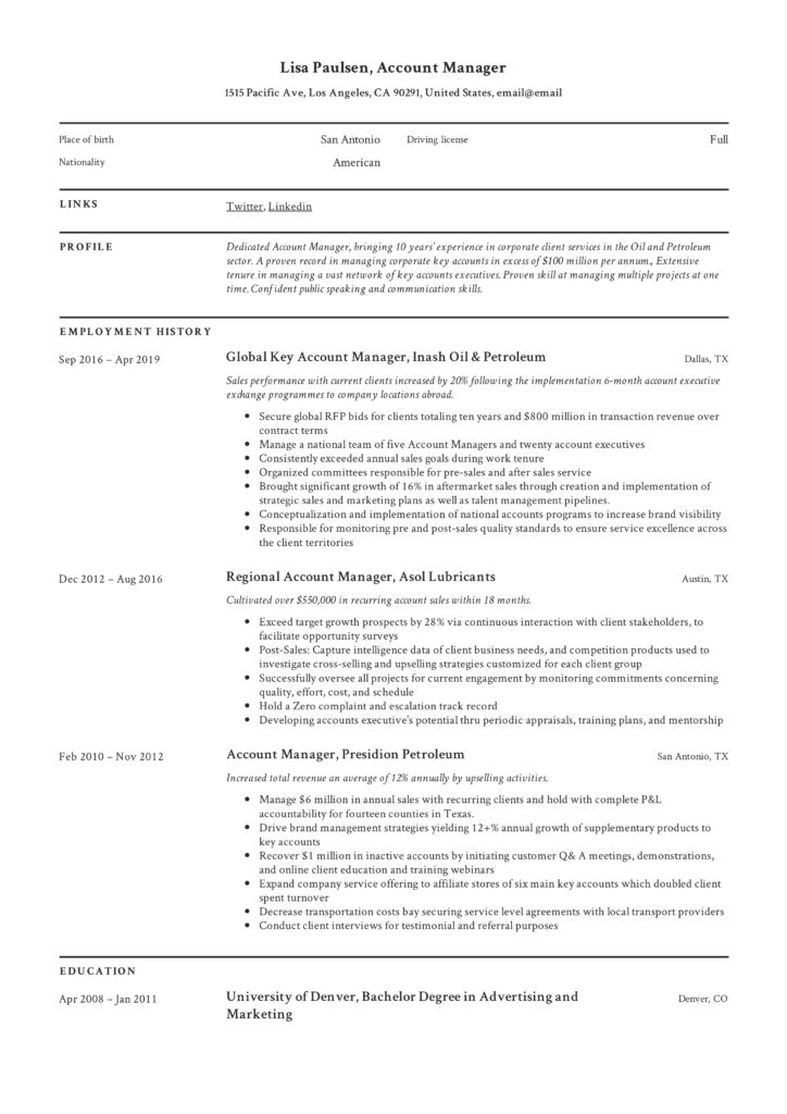 professional Account manager resume example