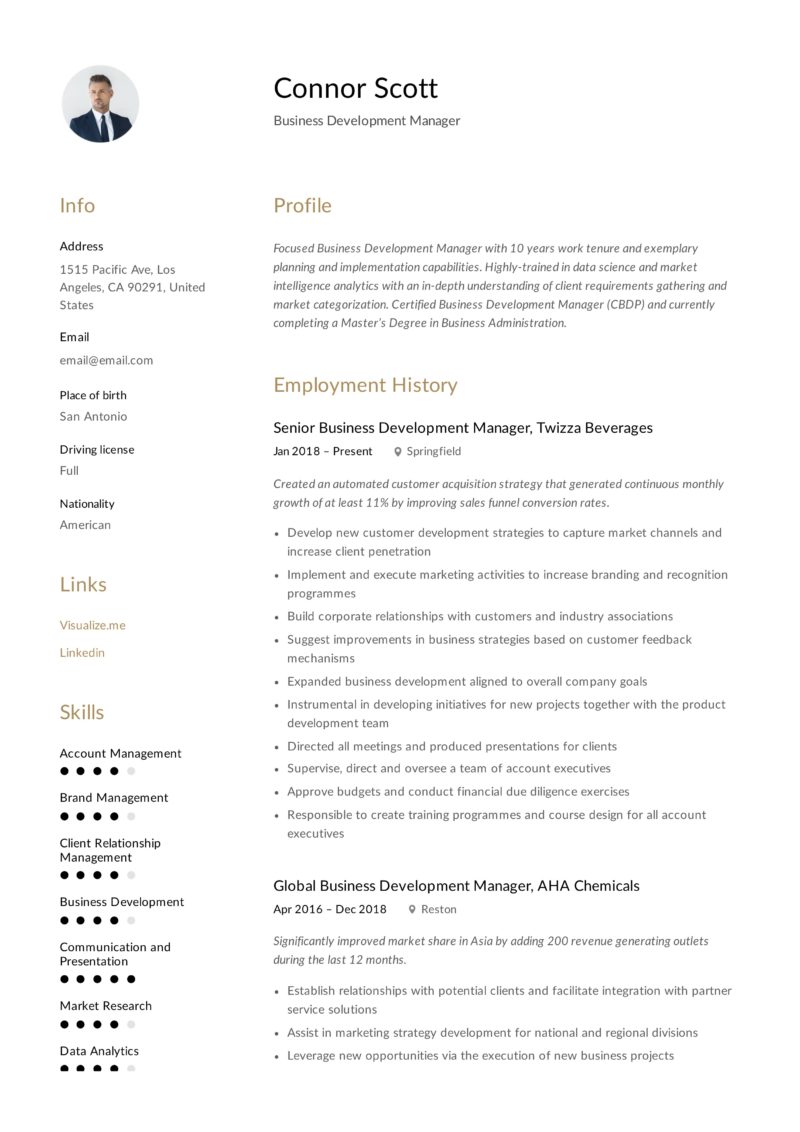 Business Development Manager Design Resume