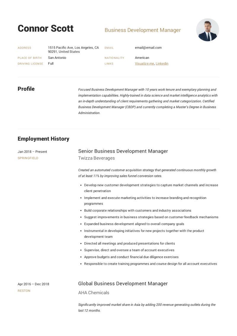 Business Development Manager Resume