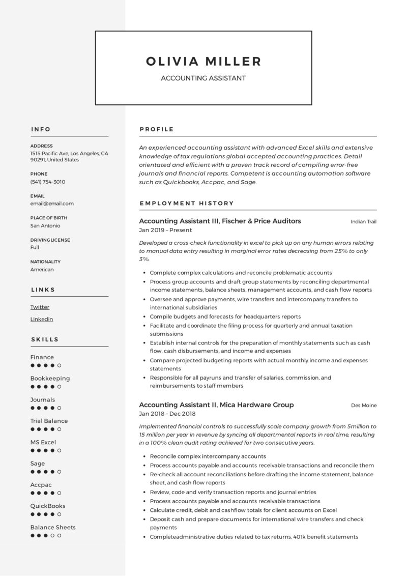 Account Assistant Template Resume