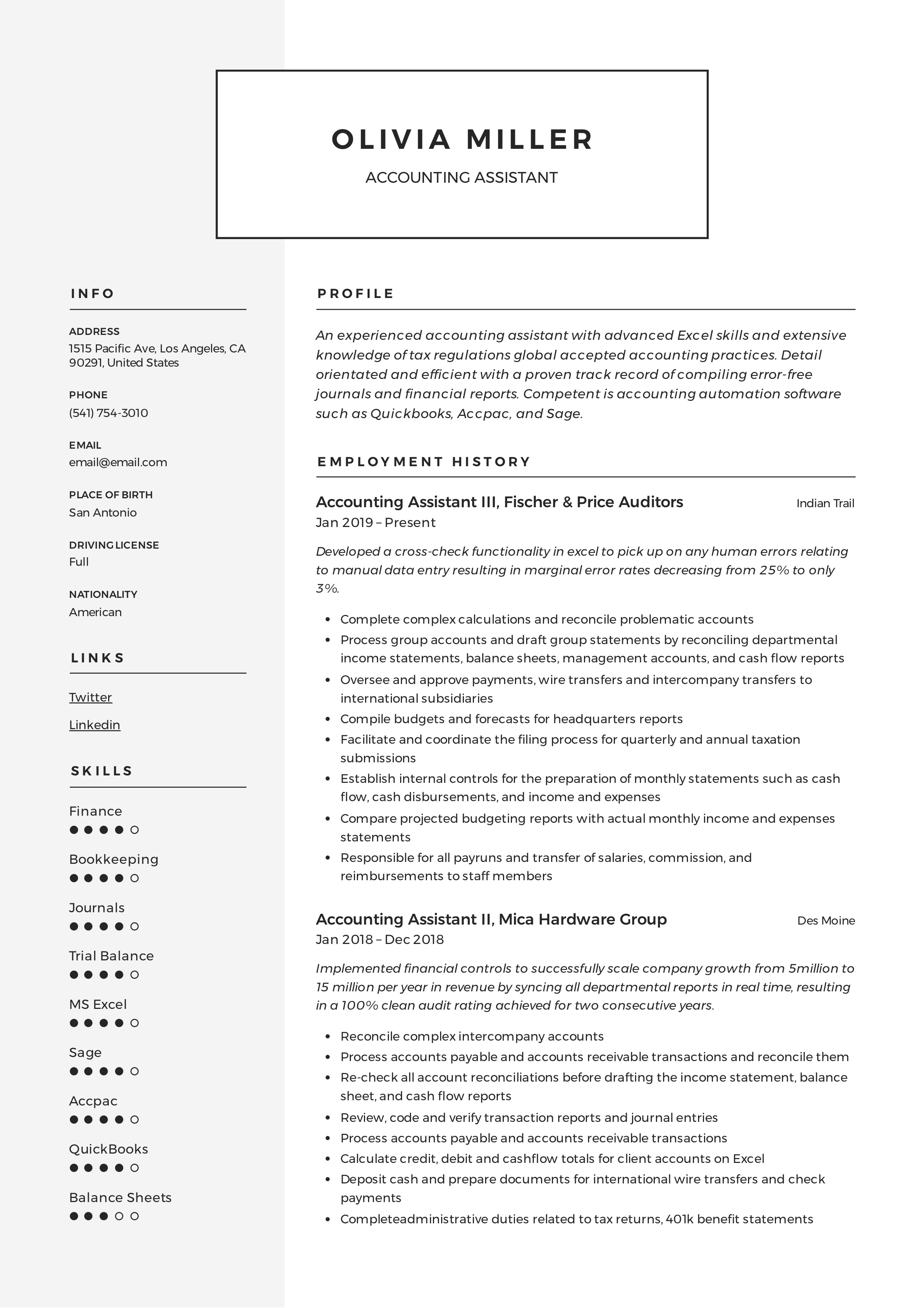 Account Assistant Template Resume