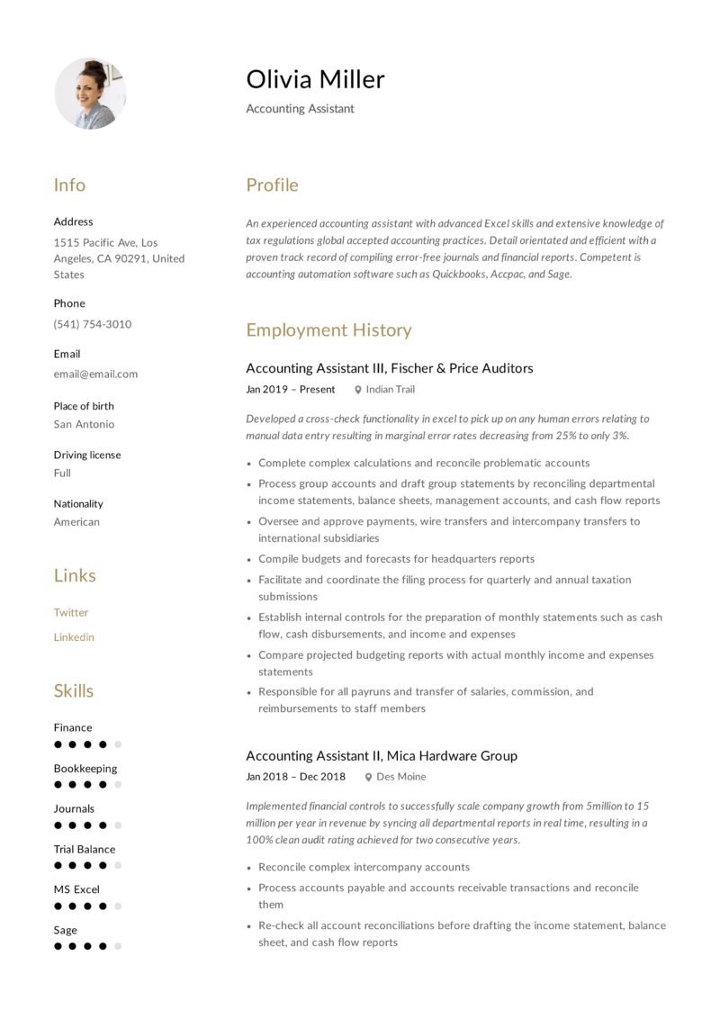 Account Assistant Resume