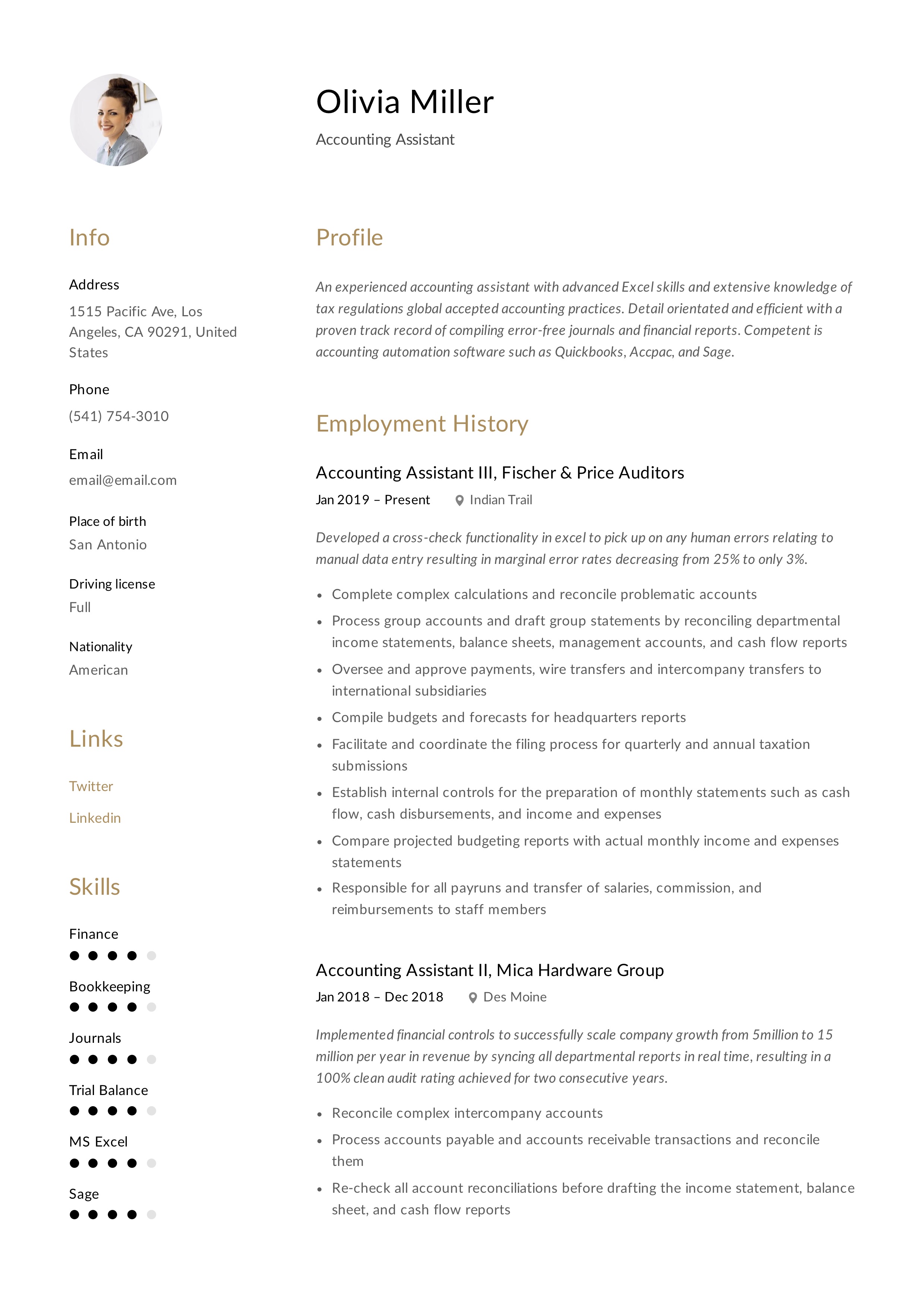 Account Assistant Resume Template
