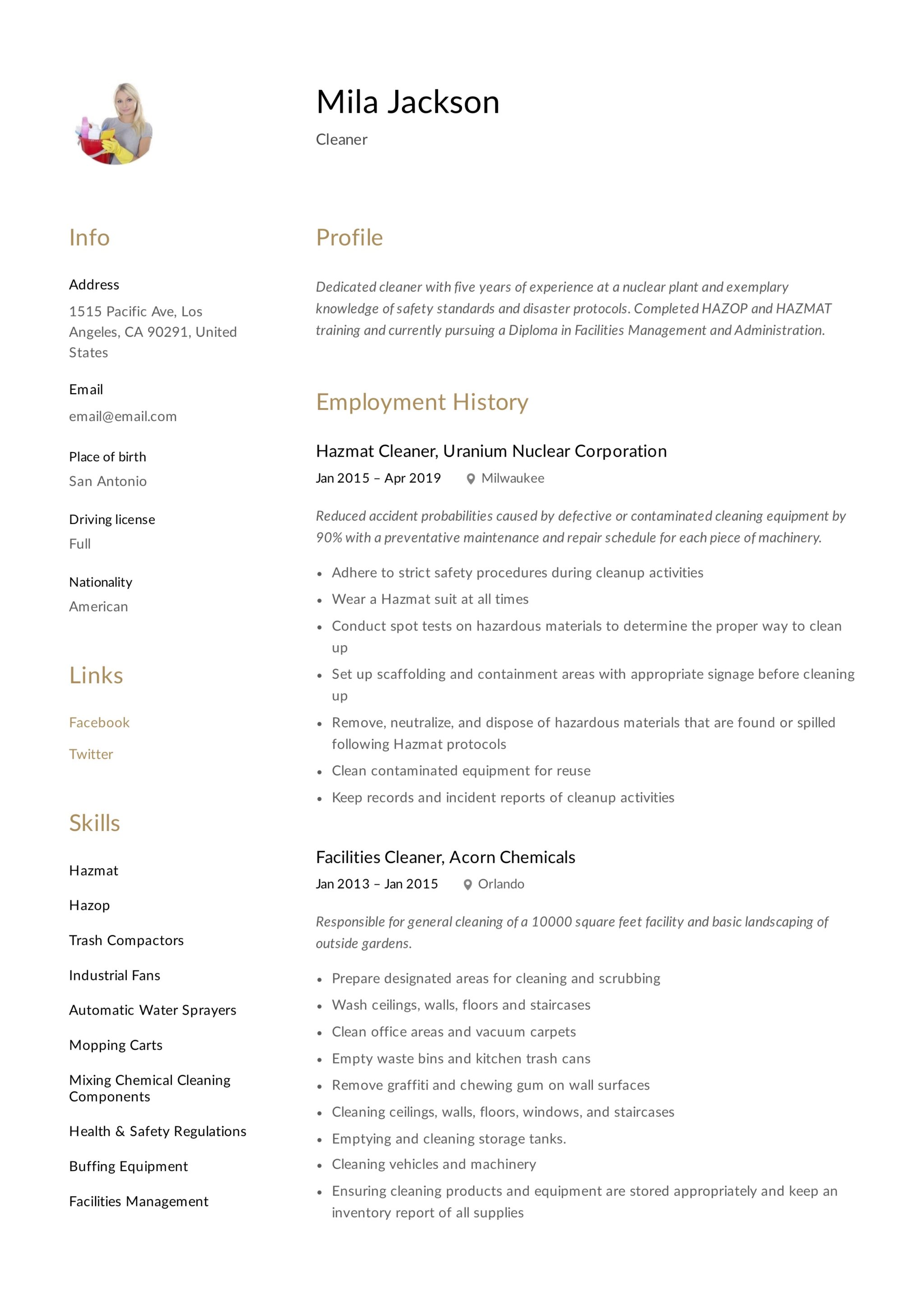 resume example cleaner