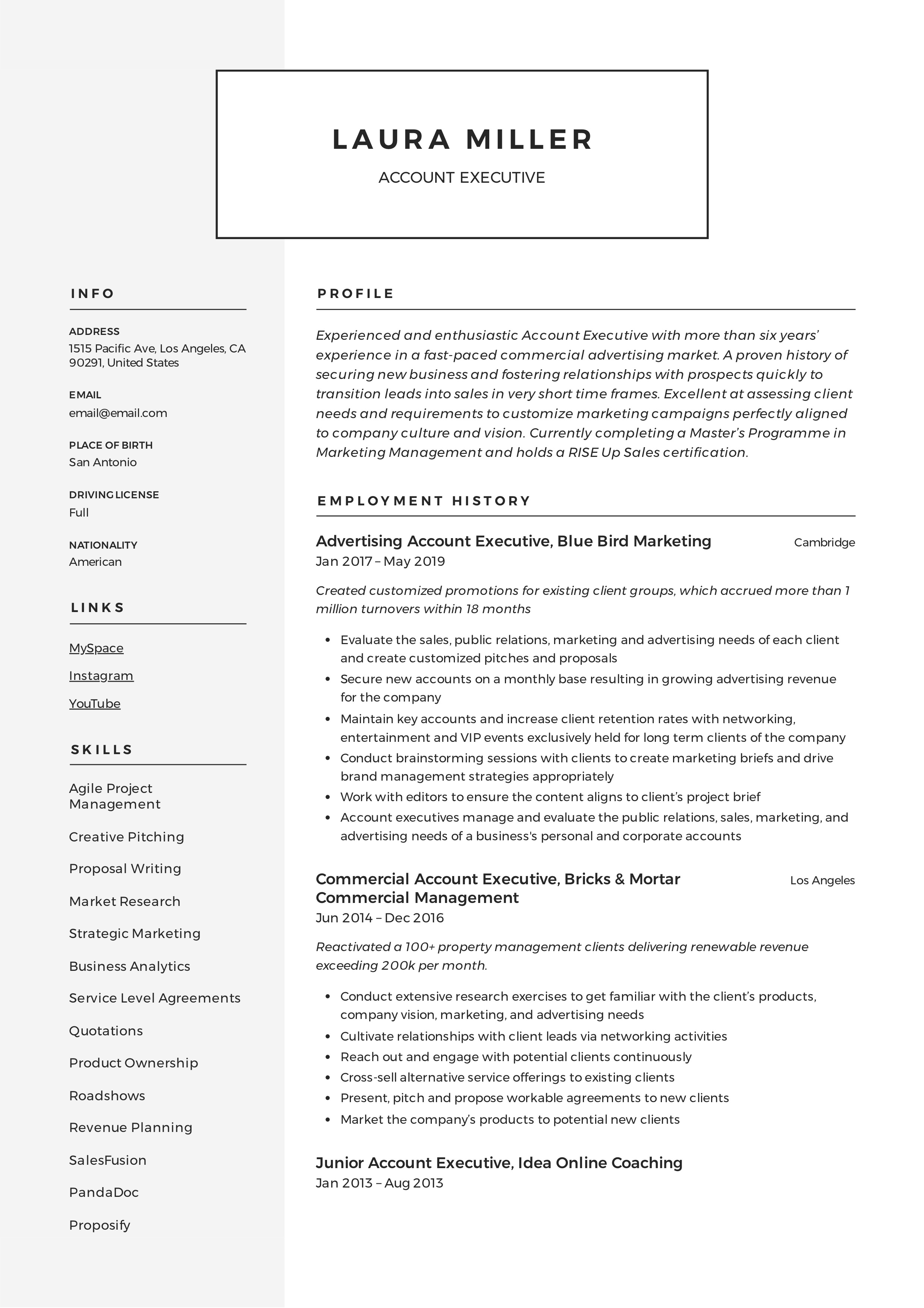 Modern Resume sample Account Executive