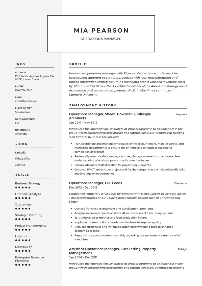 Modern Example Resume Operations Manager