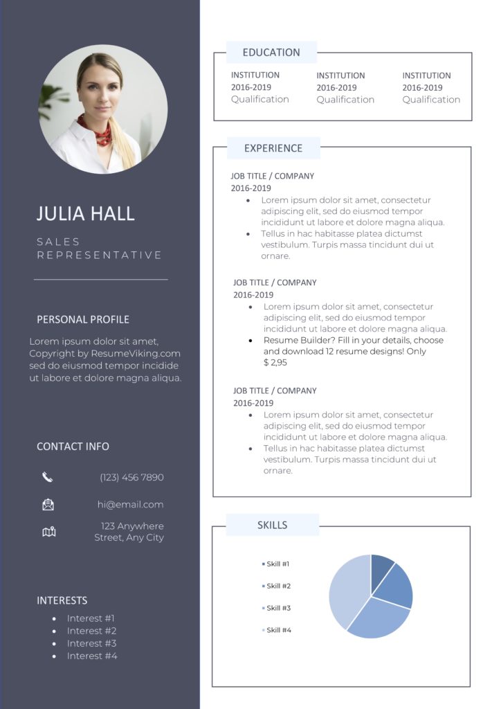 two colour resume format design dark and light