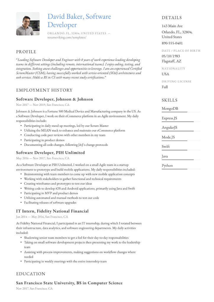 professional resume example software developer