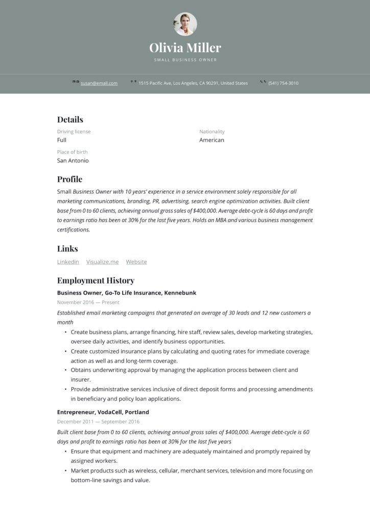 modern small business owner resume example