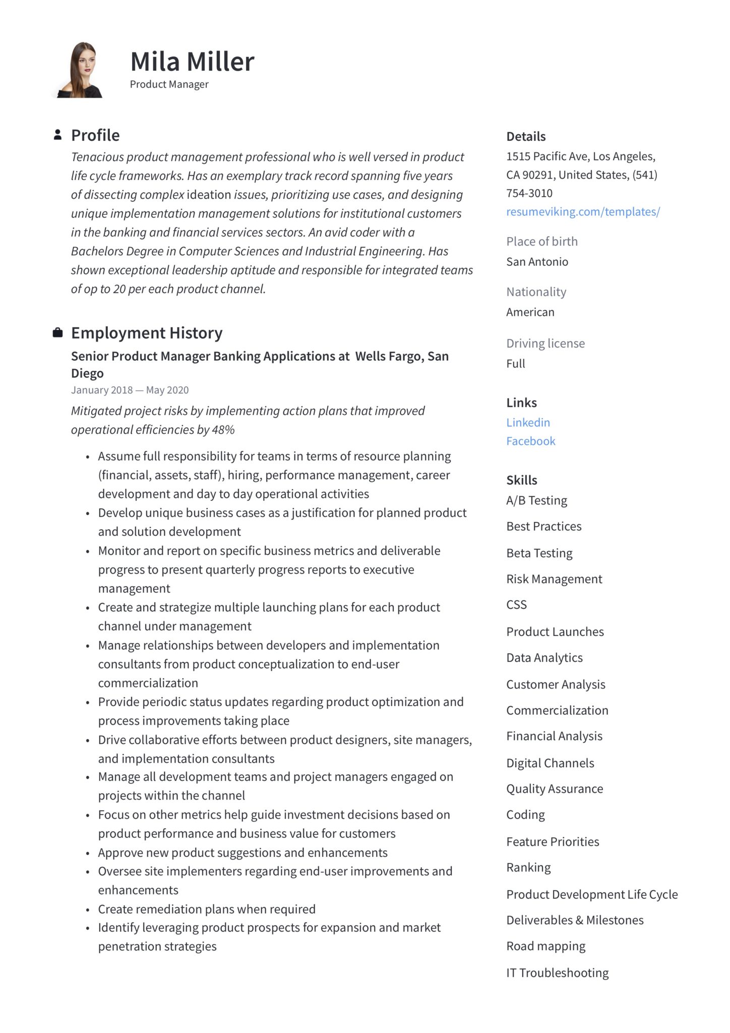 modern simple product manager resume ICT and IT