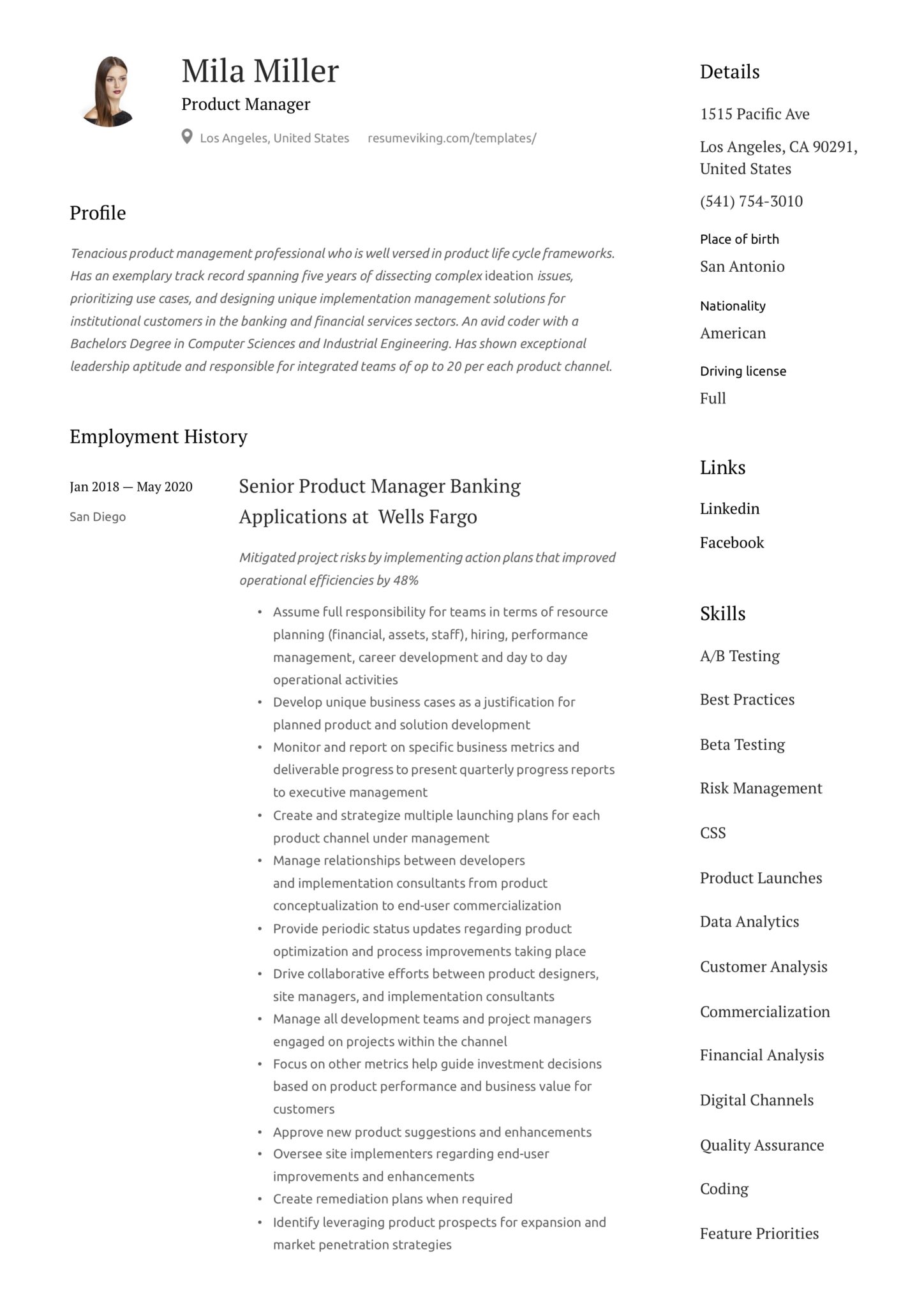 modern basic resume example senior product manager application development