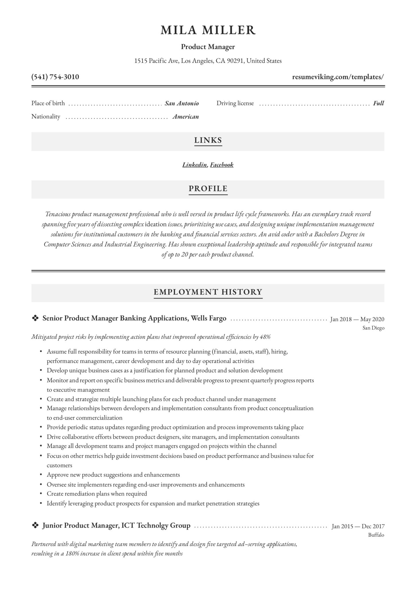 classic professional resume product manager