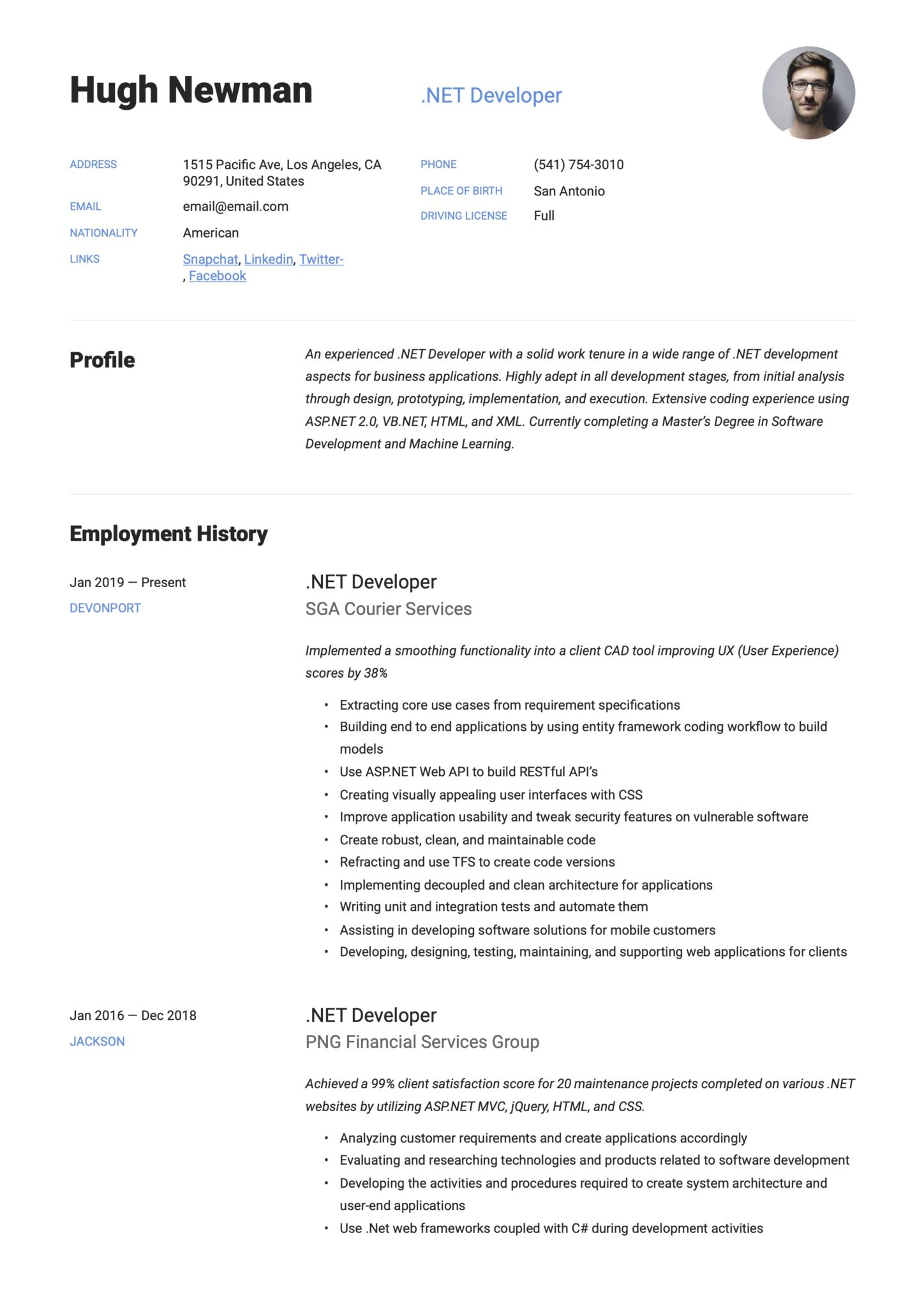 Simple Blue Resume Example .NET Developer