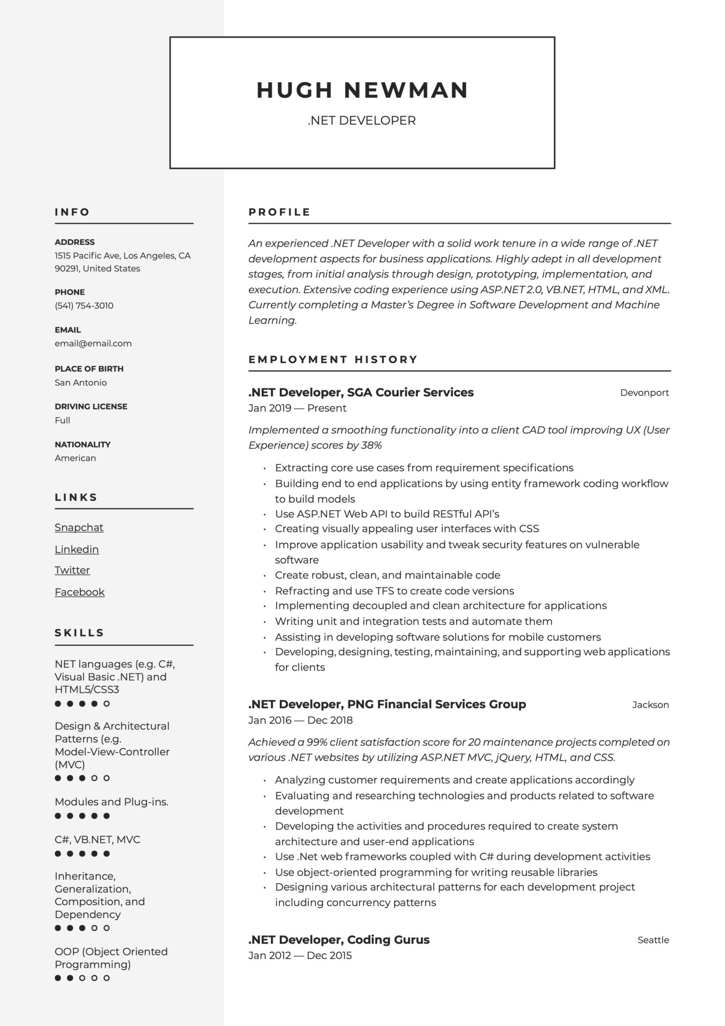 Modern Resume Example .NET Developer