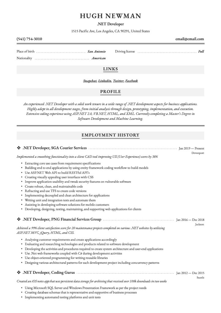 Professional Resume Example .NET Developer