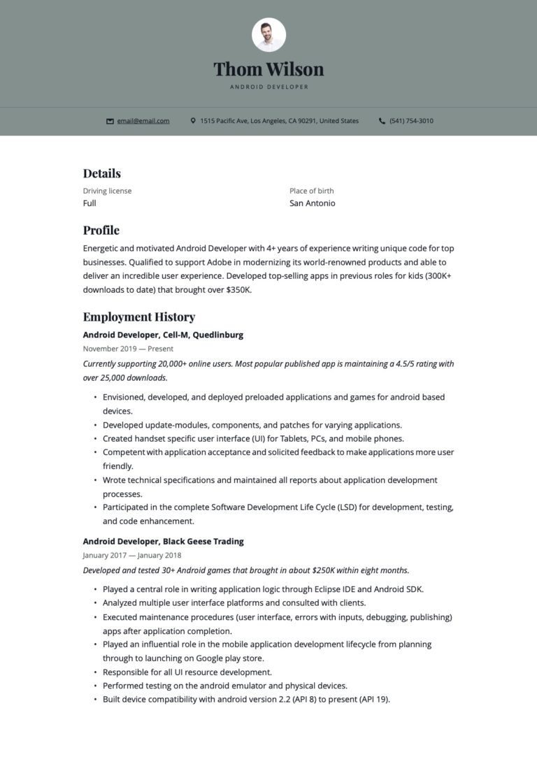 Example Resume Android Developer 12 1