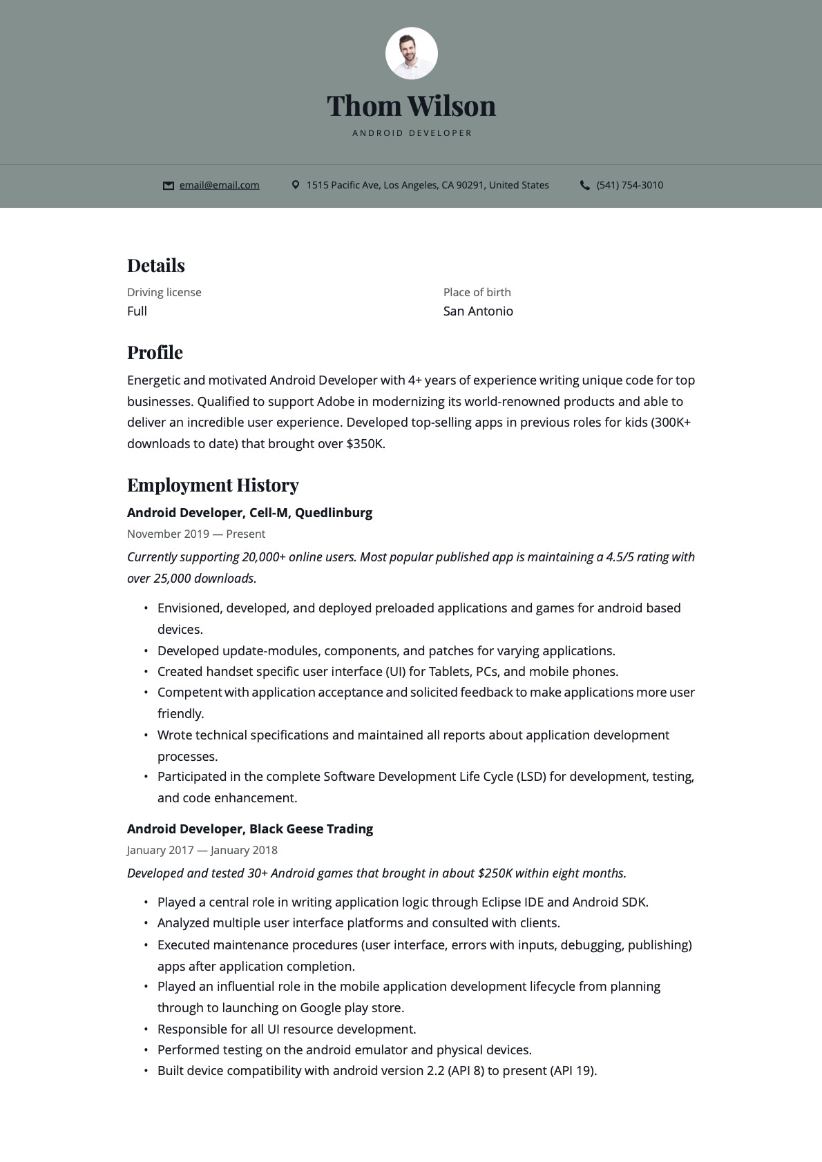 Example Resume Android Developer-12