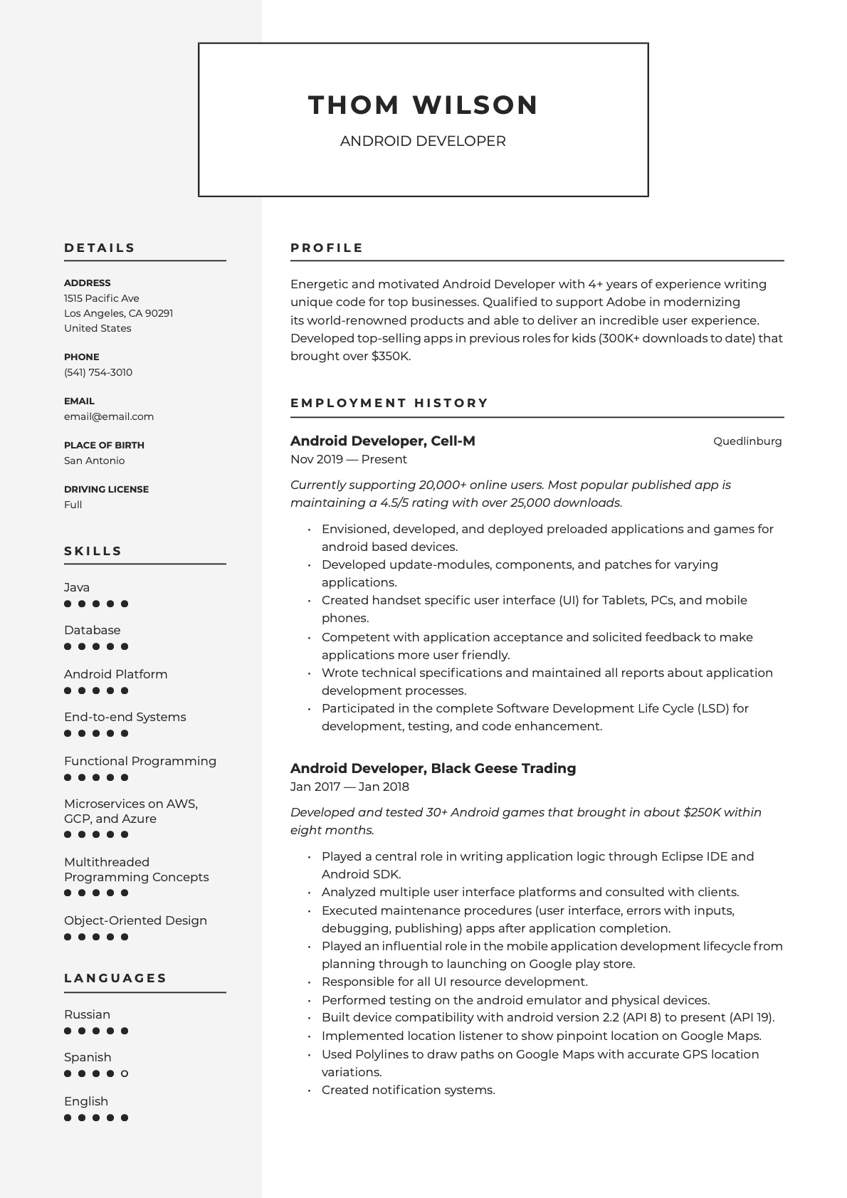 Example Resume Android Developer-8