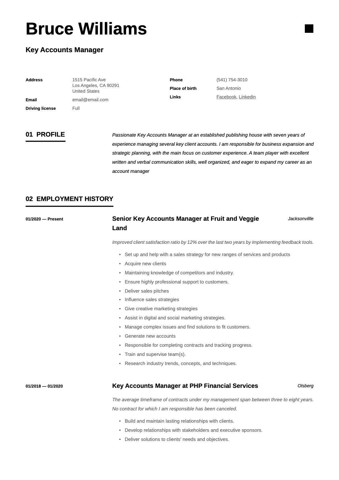 Example resume key accounts manager-11
