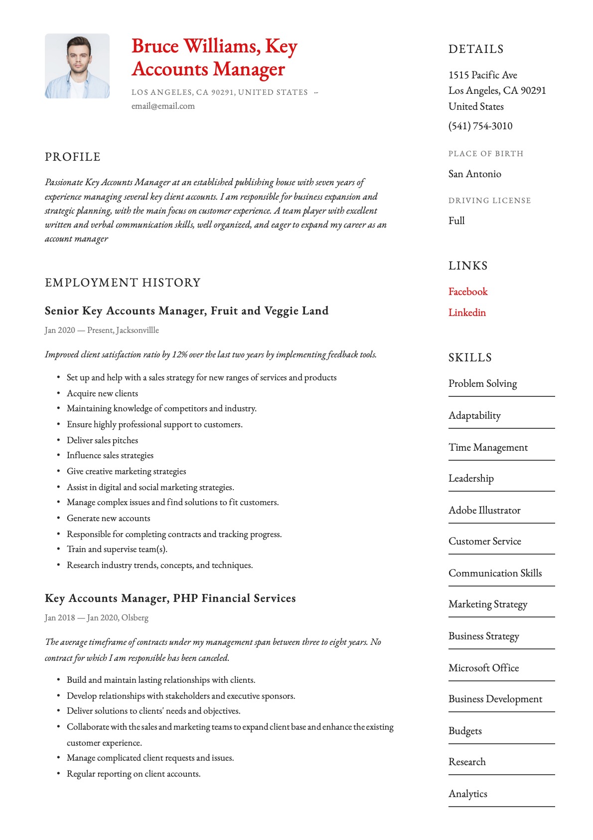 Example resume key accounts manager-13