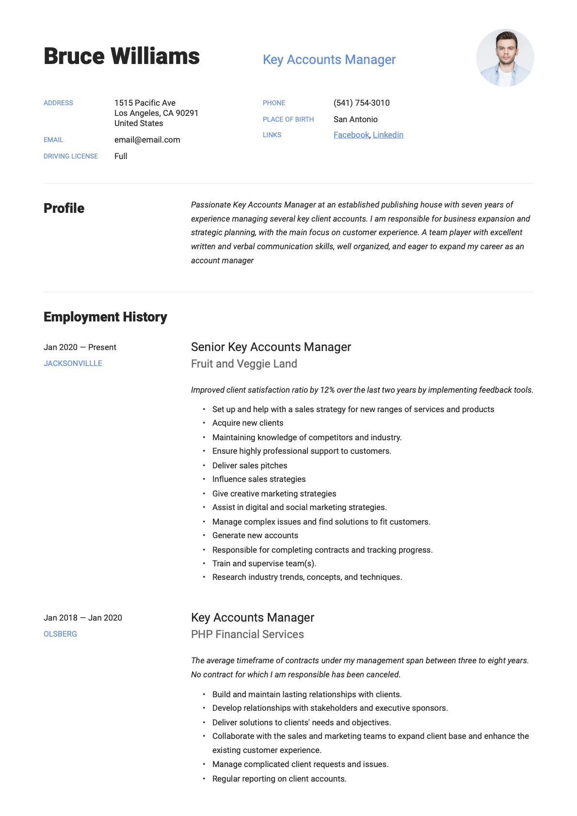 Example resume key accounts manager-16