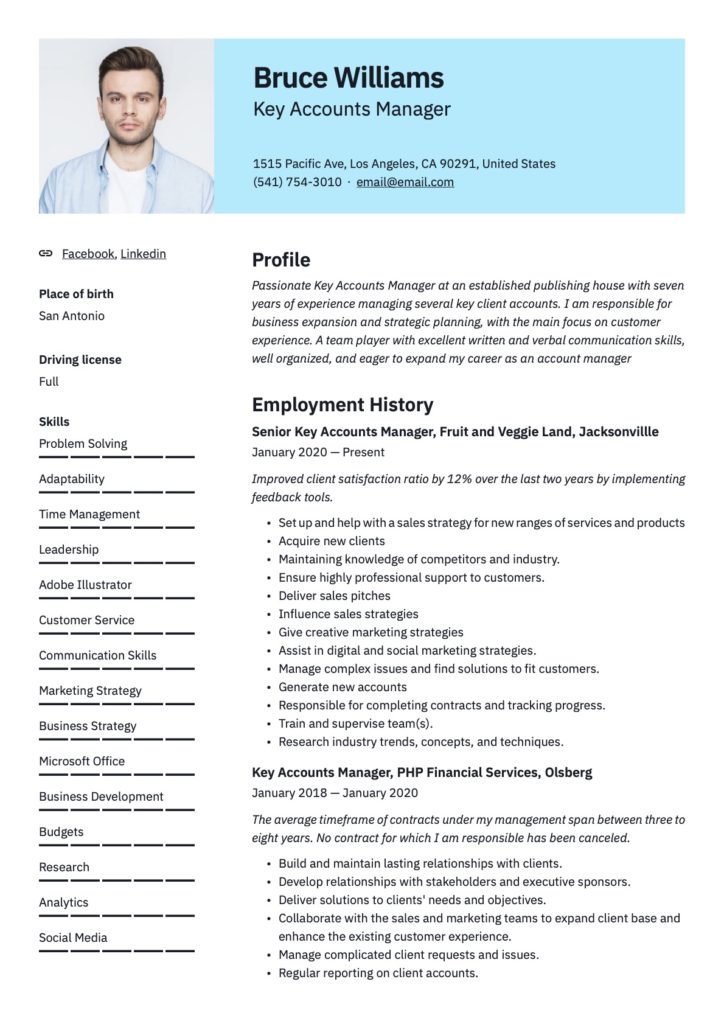 Example resume key account manager