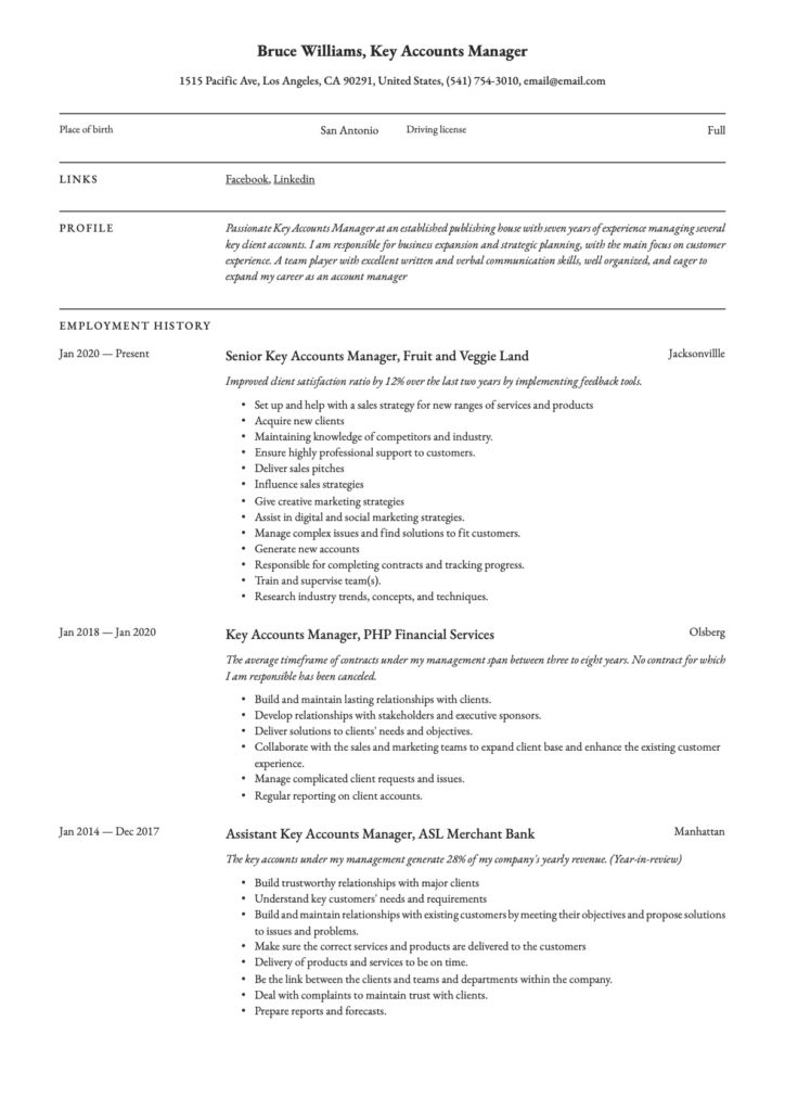 Professional resume key account manager