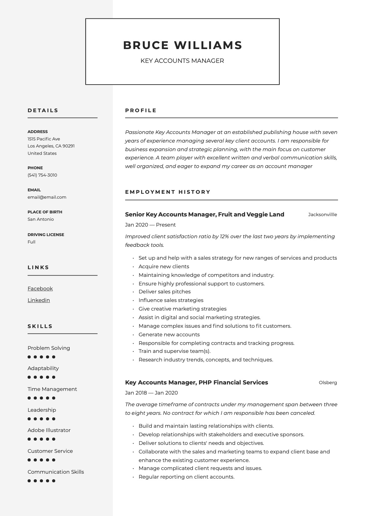 Example resume key accounts manager-8
