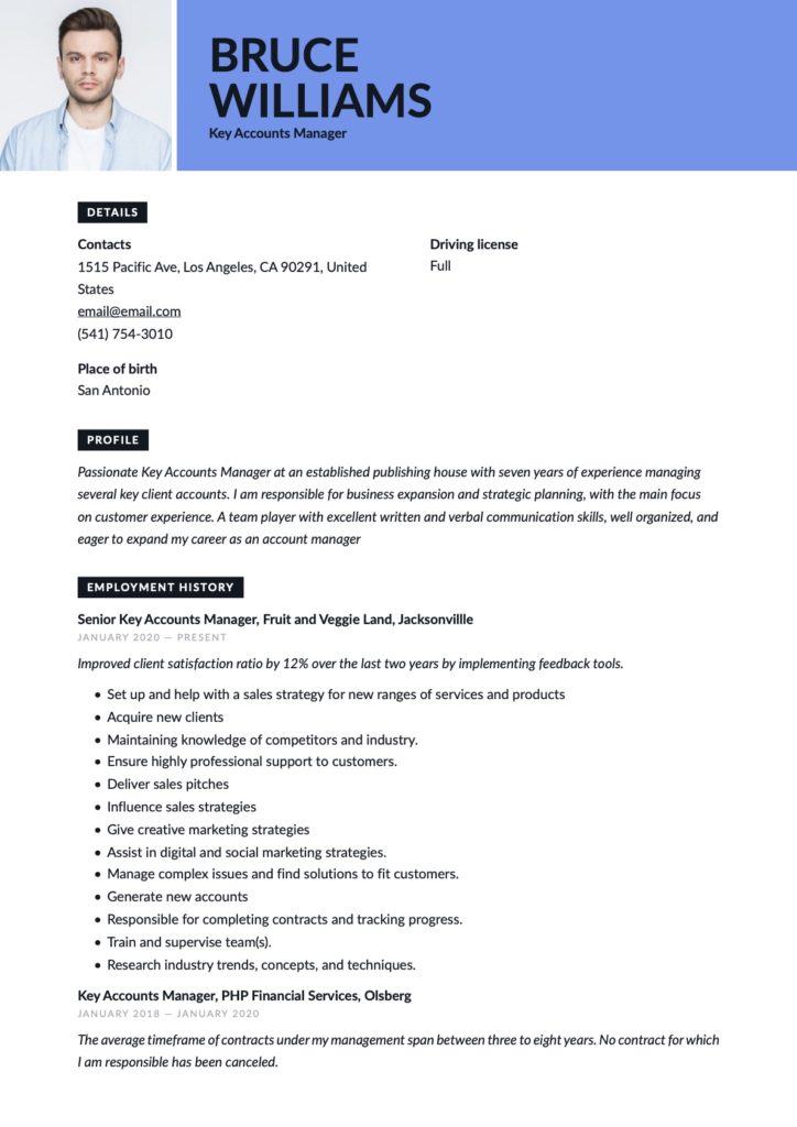 Sample resume key account manager