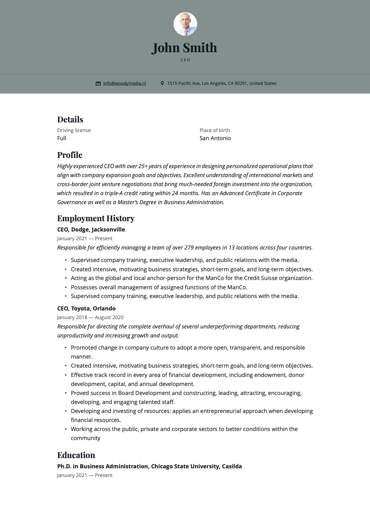 Example Resume CEO-12