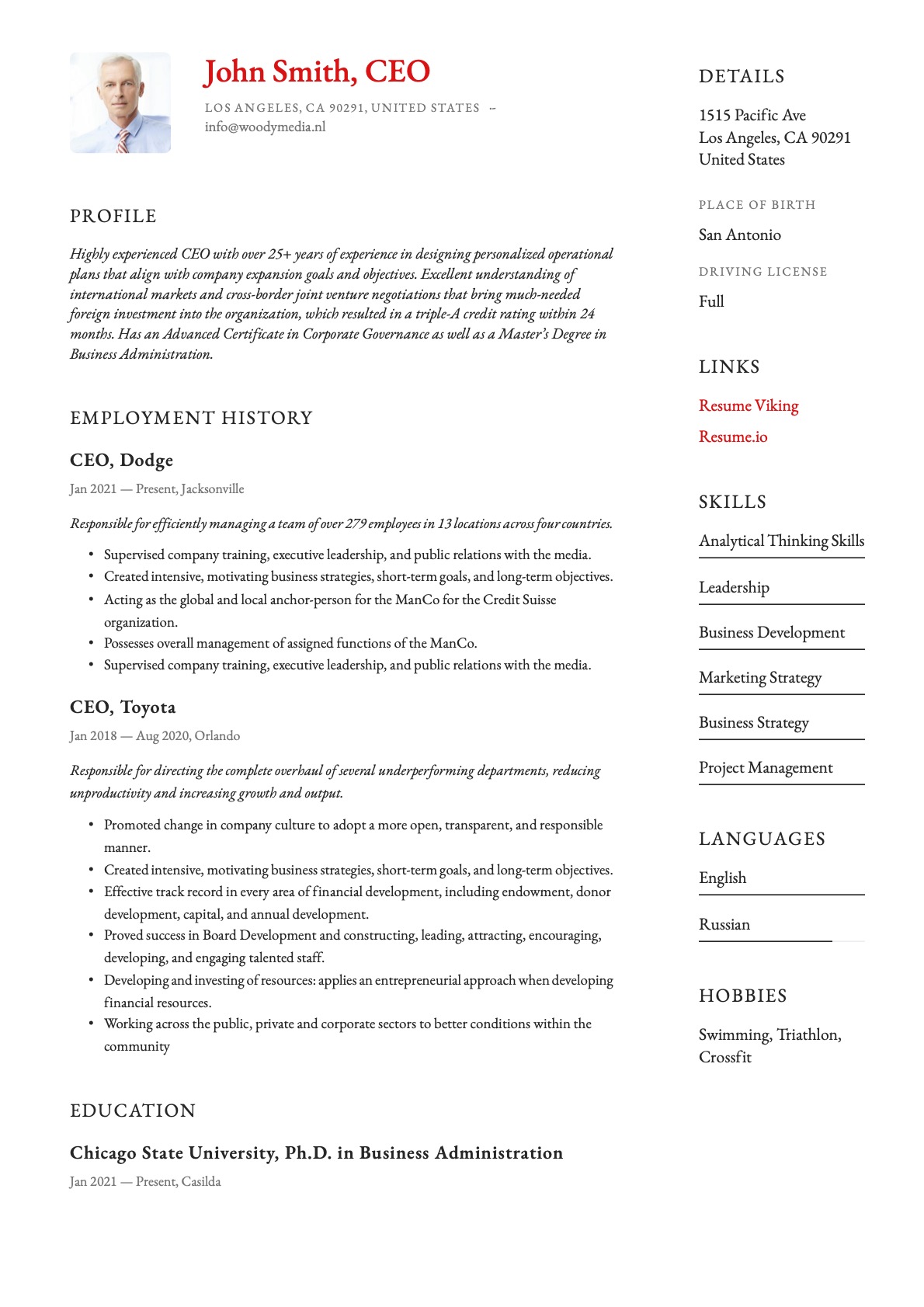 Example Resume CEO-13