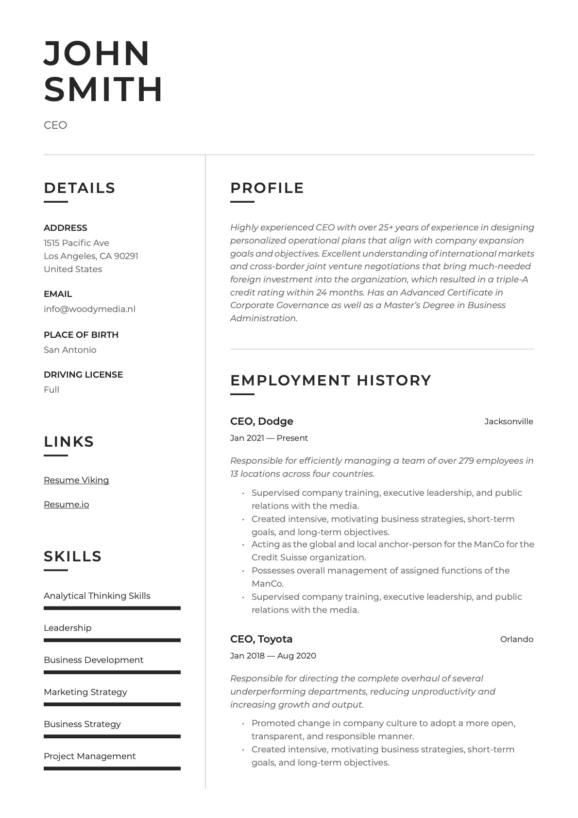 Example Resume CEO-14