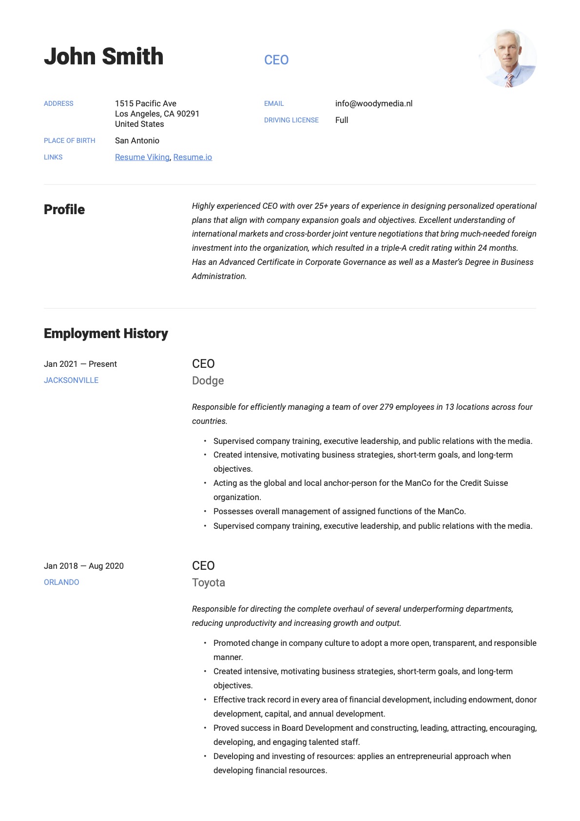 Example Resume CEO-16