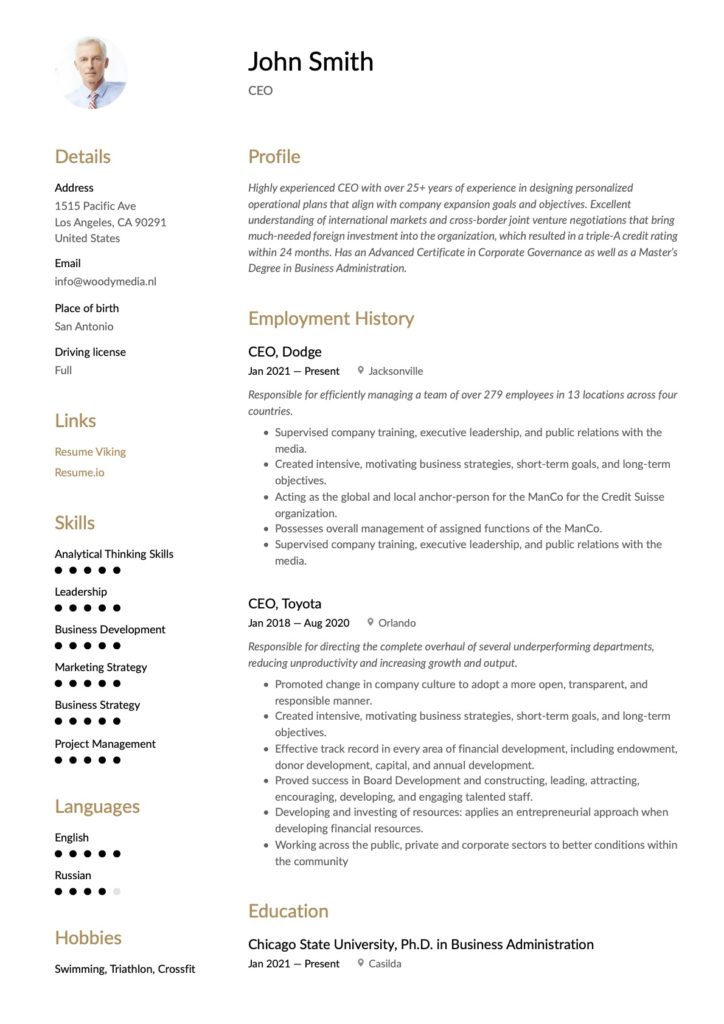 CEO Resume Template
