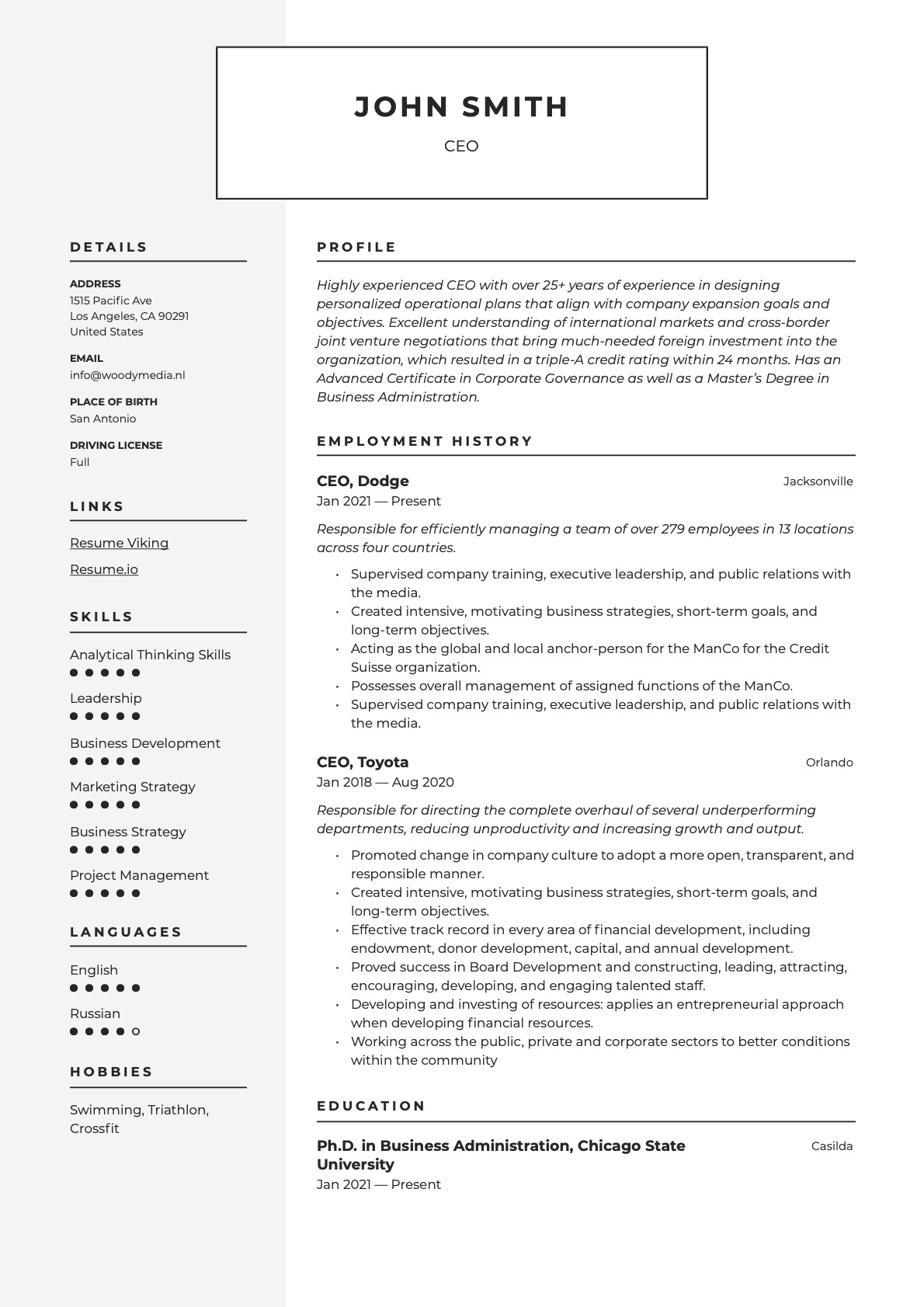 Example Resume CEO-8