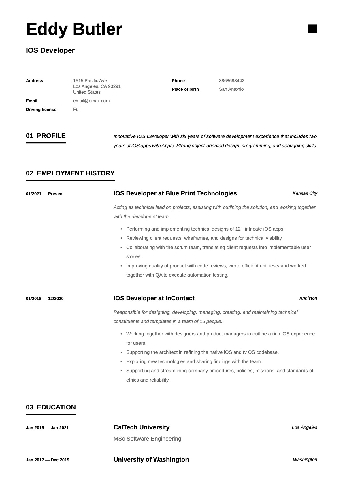 Example Resume IOS Developer-11