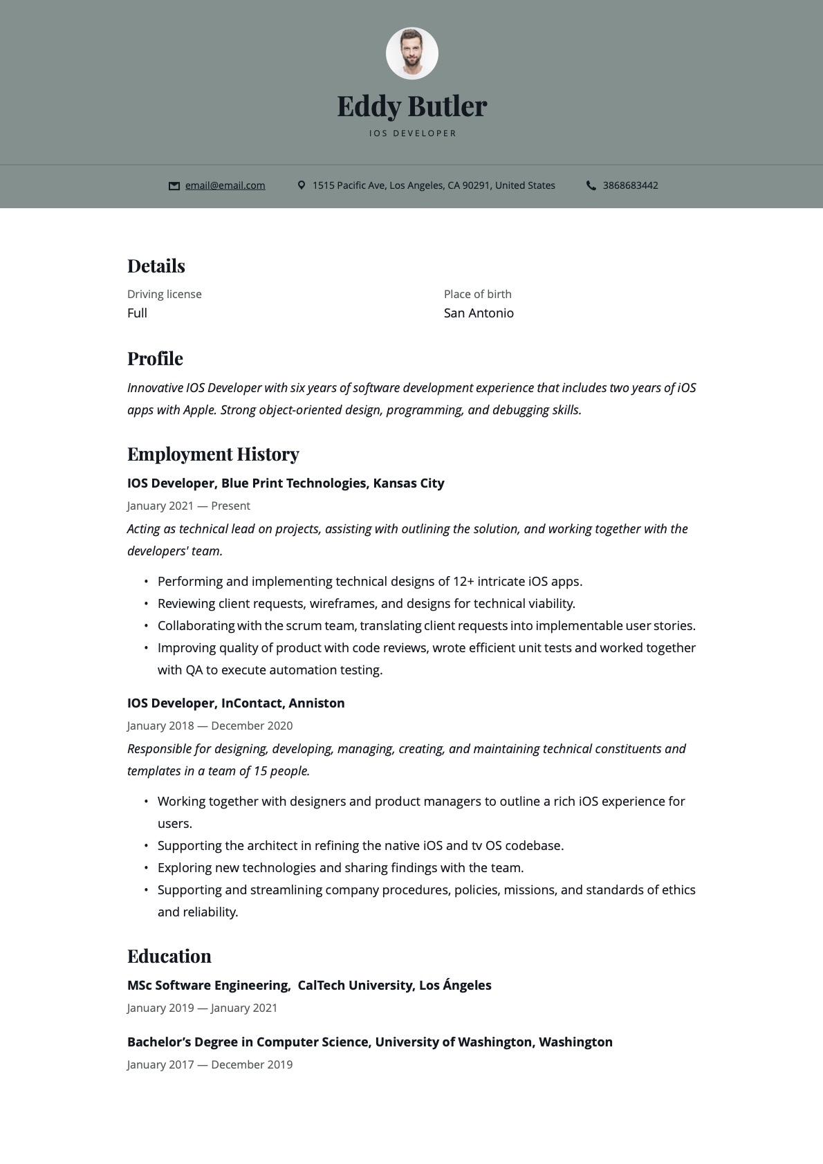 Example Resume IOS Developer-12