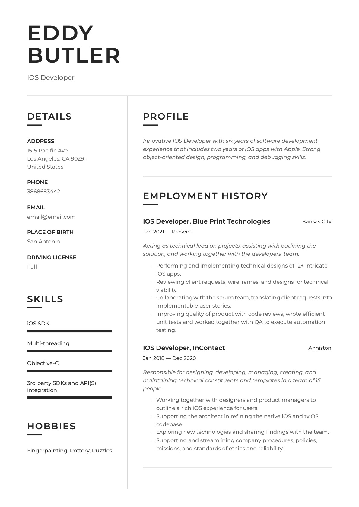 Example Resume IOS Developer-14
