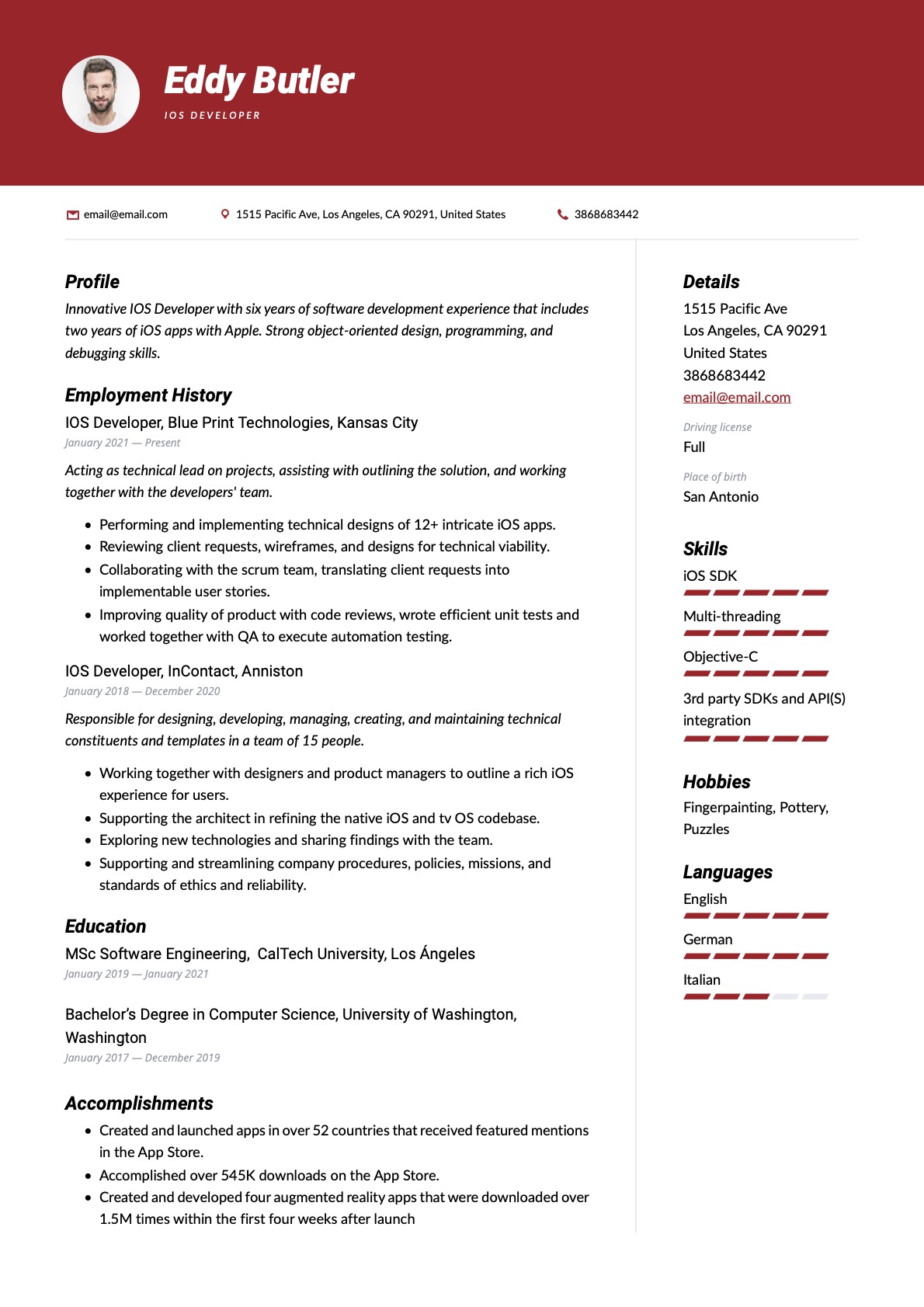 Example Resume IOS Developer-7