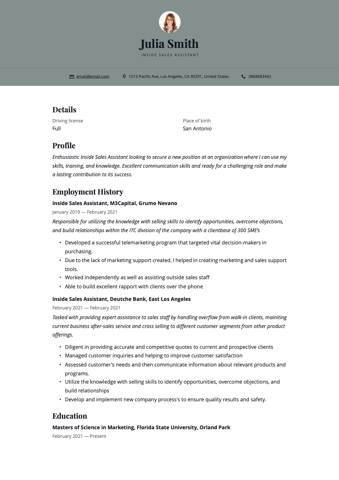 Example Resume Inside Sales Assistant-12