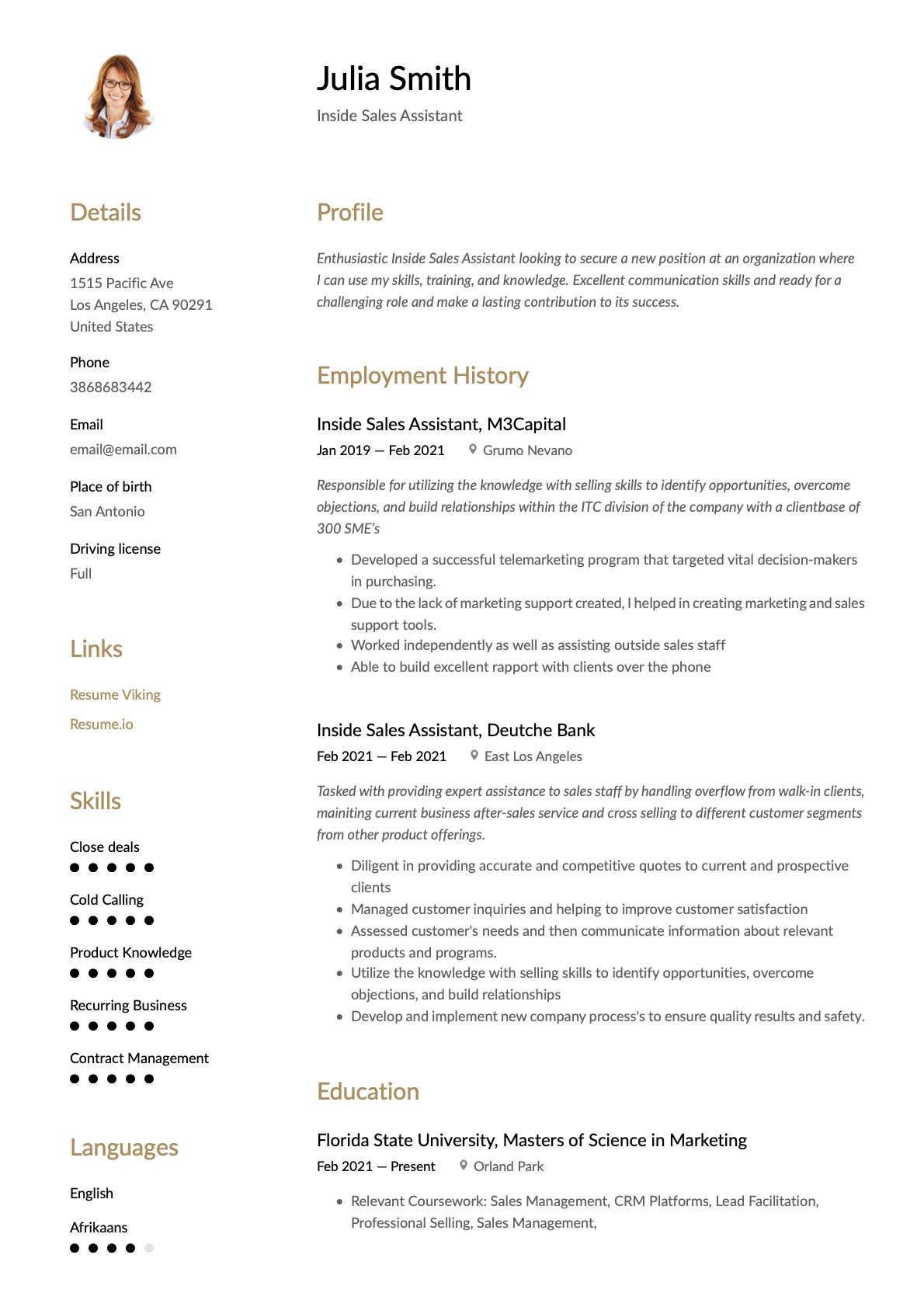 Example Resume Inside Sales Assistant-17