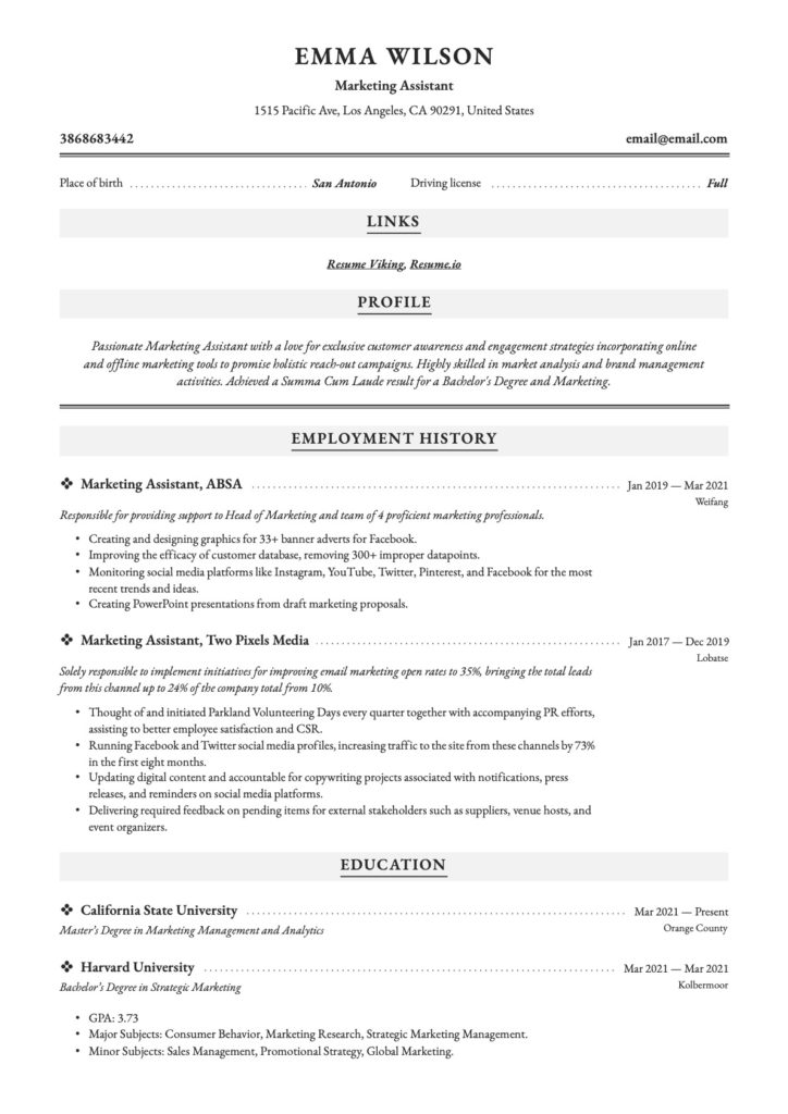 Template Marketing Assistant Resume