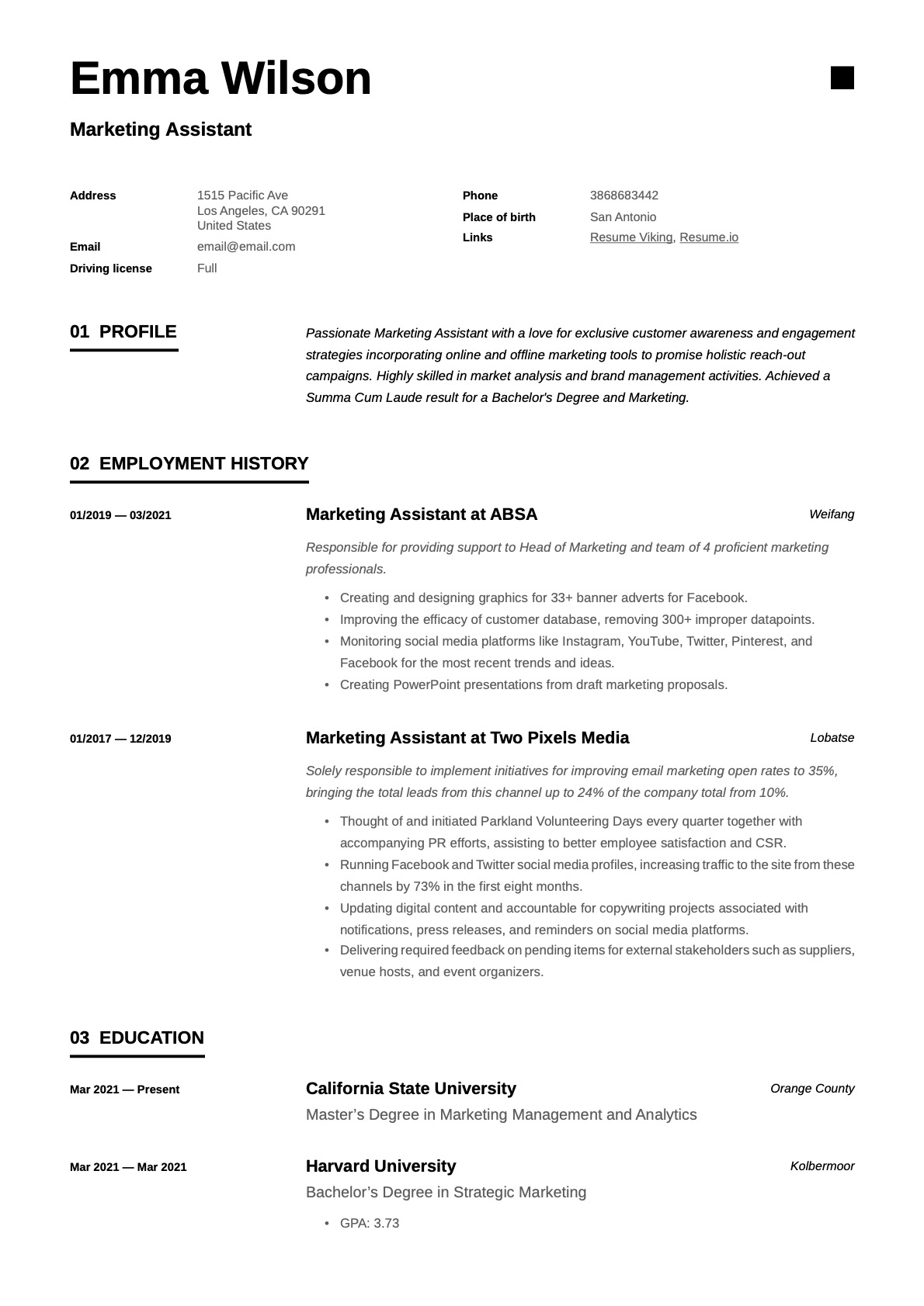 Example Resume Marketing Assistant-11