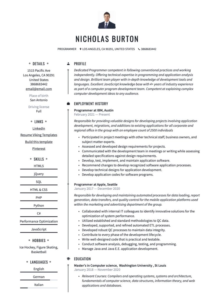 Professional Programmer Resume Example