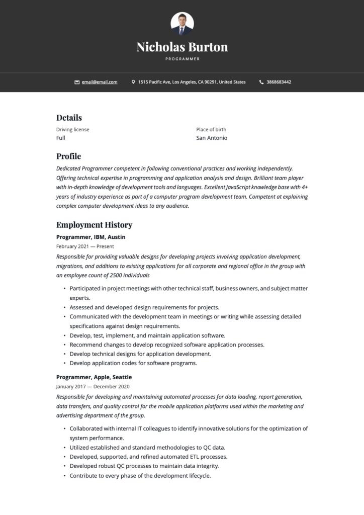 Simple Programmer Resume Example
