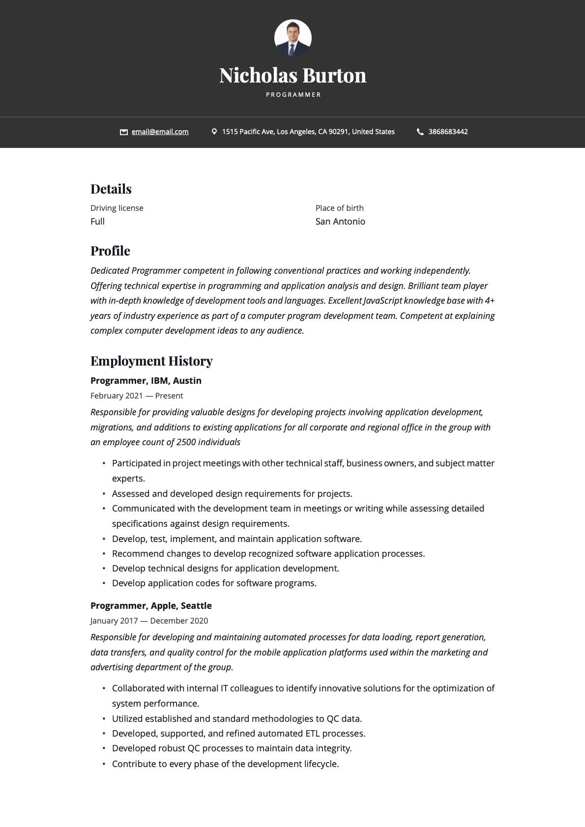 Simple Programmer Resume Example